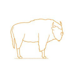 Animals Bovines European Bison Outline Svg File, Free Vectors File